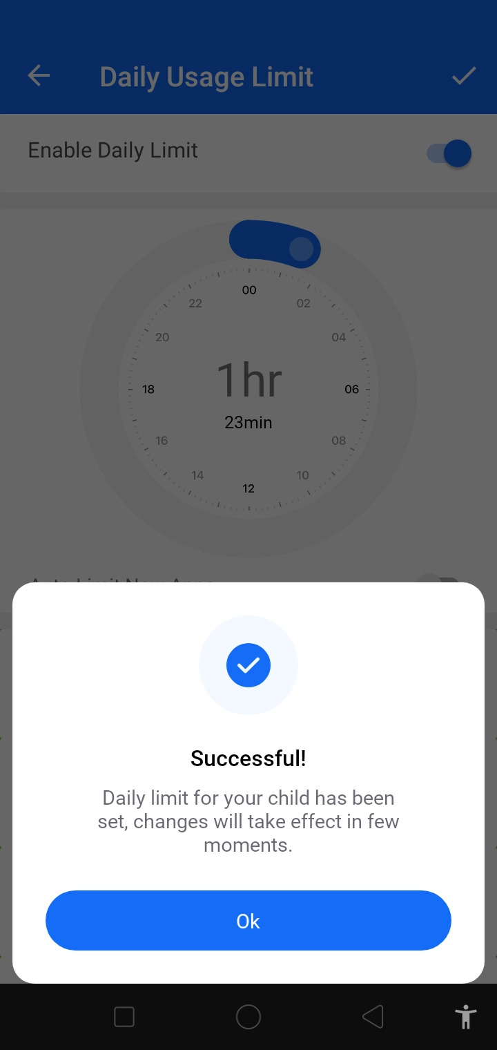 installation step